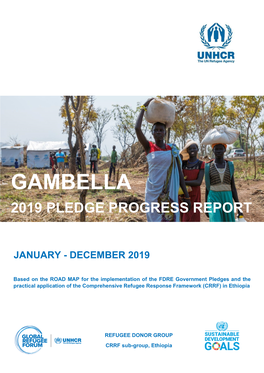 Gambella 2019 Pledge Progress Report