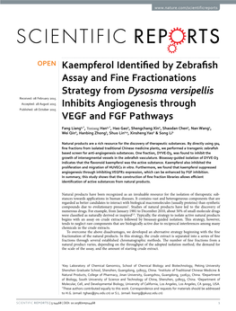 Kaempferol Identified by Zebrafish Assay and Fine Fractionations