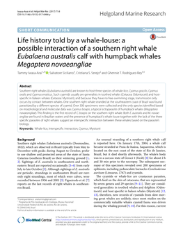 Life History Told by a Whale-Louse: a Possible Interaction of a Southern