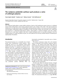 The Laetiporus Polyketide Synthase Lpaa Produces a Series of Antifungal Polyenes