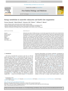 Energy Metabolism in Anaerobic Eukaryotes and Earth's Late Oxygenation