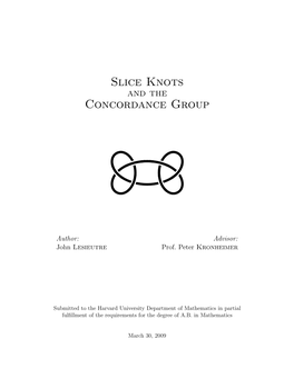 Slice Knots Concordance Group