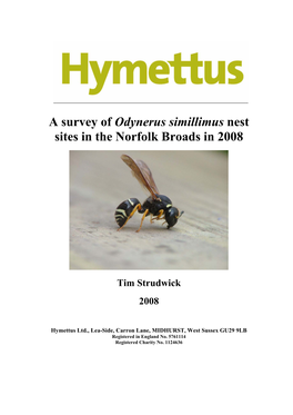 Odynerus Simillimus in Norfolk