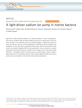 A Light-Driven Sodium Ion Pump in Marine Bacteria
