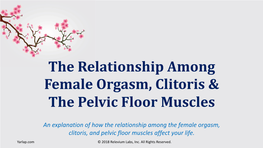 The Female Orgasm, Clitoris & Pelvic Floor Muscles