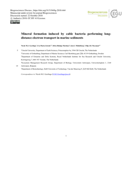 Mineral Formation Induced by Cable Bacteria Performing Long- Distance Electron Transport in Marine Sediments