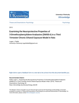 (DMXB-A) in a Third Trimester Chronic Ethanol Exposure Model in Rats