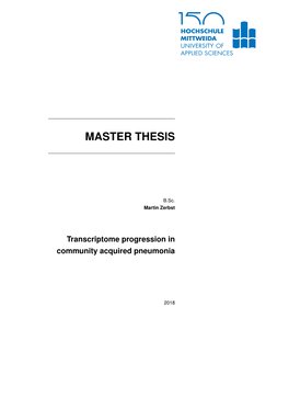 Master Thesis