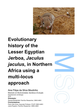 Evolutionary History of the Lesser Egyptian Jerboa, Jaculus Jaculus, in Northern Africa Using a Multi-Locus Approach