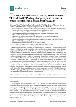 Calycophyllum Spruceanum (Benth.), the Amazonian “Tree of Youth” Prolongs Longevity and Enhances Stress Resistance in Caenorhabditis Elegans