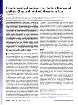 Lufengpithecus Is Known from a Number of Late Although YV0999 Was Recovered in 1988 (18) and Has Been the Miocene Sites in Yunnan Province in Southern China