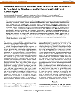 Basement Membrane Reconstruction in Human Skin Equivalents Is Regulated by Fibroblasts And/Or Exogenously Activated Keratinocytes