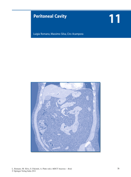 Peritoneal Cavity 11