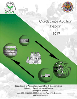Cordyceps Auction Report