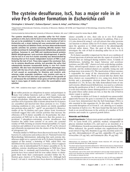 The Cysteine Desulfurase, Iscs, Has a Major Role in in Vivo Fe-S Cluster Formation in Escherichia Coli