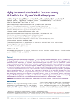Highly Conserved Mitochondrial Genomes Among Multicellular Red Algae of the Florideophyceae
