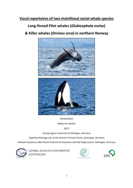 Killer Whales (Orcinus Orca) in Northern Norway