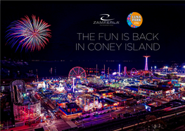 THE FUN IS BACK in CONEY ISLAND May 28, 2010 Mr