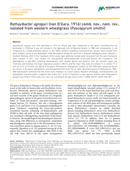 Rathayibacter Agropyri (Non O’Gara, 1916) Comb