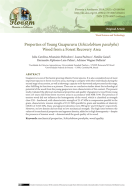 Schizolobium Parahyba) Wood from a Forest Recovery Area