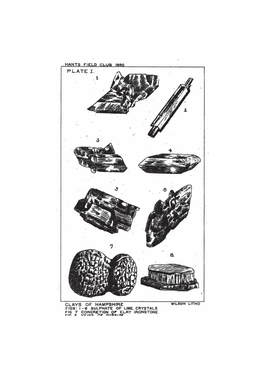 Hants Field Club 1890 Clays of Hampshire Figs: 1-6