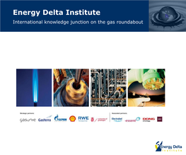 Energy Delta Institute H International Knowledge Junction on the Gas Roundabout Meeting Future Demand H