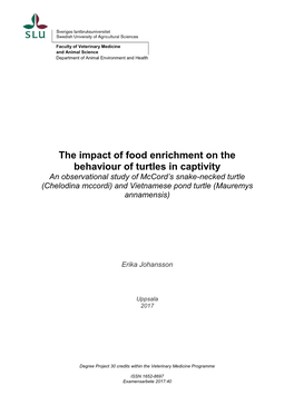 The Impact of Food Enrichment on the Behaviour of Turtles in Captivity