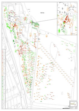 Arboretum Species Plan Oct 2018