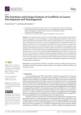 The Functions and Unique Features of Lncrnas in Cancer Development and Tumorigenesis