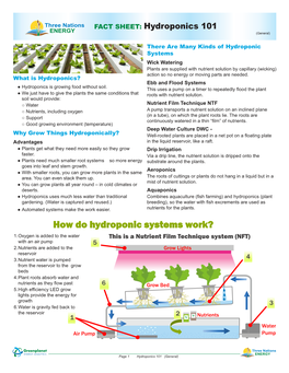 How Do Hydroponic Systems Work? 1