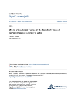 Effects of Condensed Tannins on the Toxicity of Fireweed (Senecio Madagascariensis) to Cattle