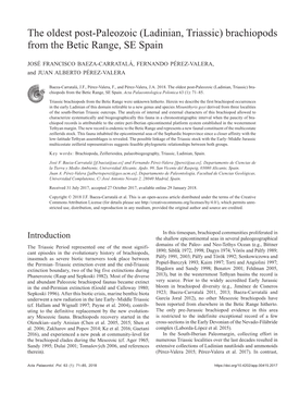 Ladinian, Triassic) Brachiopods from the Betic Range, SE Spain