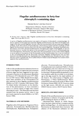 Flagellar Autofluorescence in Forty-Four Chlorophyll C-Containing Algae