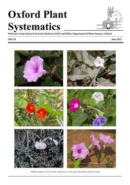 Oxford Plant Systematics with News from Oxford University Herbaria (OXF and FHO), Department of Plant Sciences, Oxford