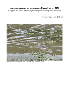 Les Oiseaux Rares En Languedoc-Roussillon En 2015 8E Rapport Du Comité D’Homologation Régional Du Languedoc-Roussillon