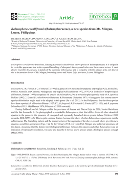 Balanophora Coralliformis (Balanophoraceae), a New Species from Mt