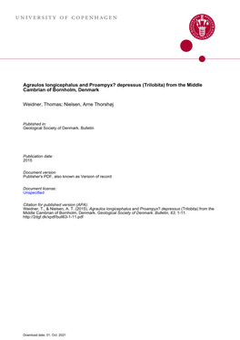 Agraulos Longicephalus and Proampyx? Depressus (Trilobita) from the Middle Cambrian of Bornholm, Denmark