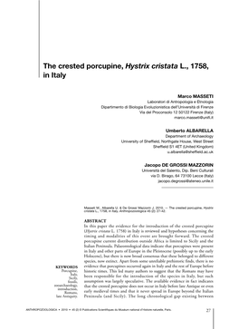 The Crested Porcupine, Hystrix Cristata L., 1758, in Italy