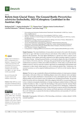 The Ground Beetle Pterostichus Adstrictus Eschscholtz, 1823 (Coleoptera: Carabidae) in the Austrian Alps