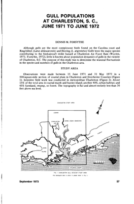 Gull Populations at Charleston, S. C June 1971 to June 1972