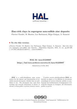 Zinc-Rich Clays in Supergene Non-Sulfide Zinc Deposits