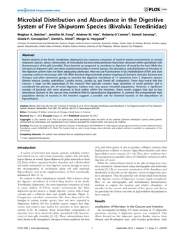 Microbial Distribution and Abundance in the Digestive System of Five Shipworm Species (Bivalvia: Teredinidae)