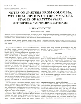 Notes on Haetera from Colombia, with Description of the Immature Stages of Haetera Piera (Lepidoptera: Nymphalidae: Satyrinae)