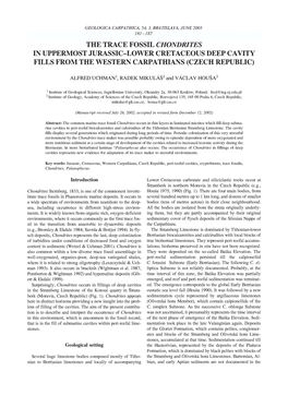 The Trace Fossil Chondrites in Uppermost Jurassic-Lower Cretaceous Deep Cavity Fills from the Western Carpathians (Czech Republic)