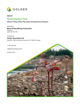 2019-03-Golder-Remediation-Plan.Pdf