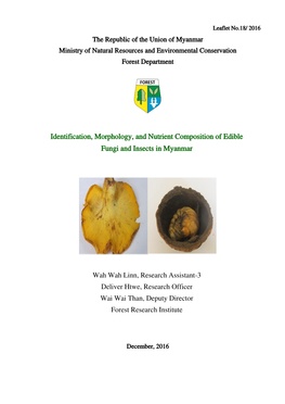 Identification, Morphology, and Nutrient Composition of Edible Fungi and Insects in Myanmar