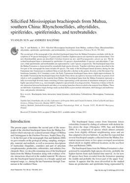 Silicified Mississippian Brachiopods from Muhua, Southern China: Rhynchonellides, Athyridides, Spiriferides, Spiriferinides, and Terebratulides