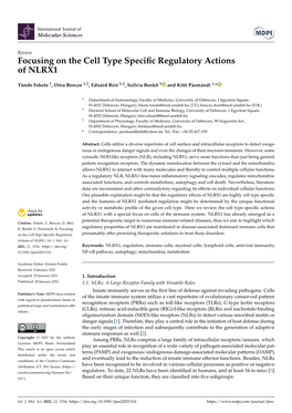 Focusing on the Cell Type Specific Regulatory Actions of NLRX1