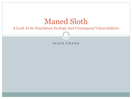 Maned Sloth a Look at Its Population Ecology and Consequent Vulnerabilities