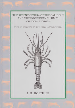 The Recent Genera of the Caridean and Stenopodidean Shrimps (Crustacea, Decapoda) : with an Appendix on the Order Amphionidacea